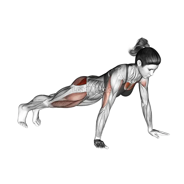 Bent Side Knee Push up demonstration