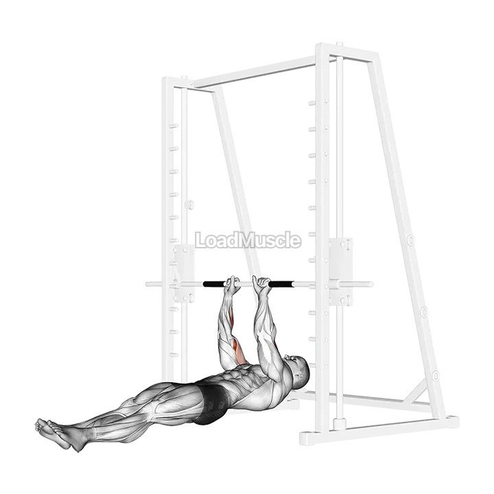 Brachialis Narrow Pull ups demonstration