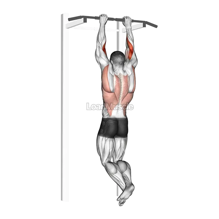 Brachialis Pull up demonstration