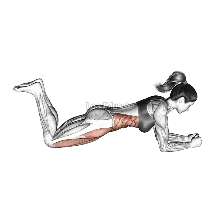 Bridge (on knees) demonstration