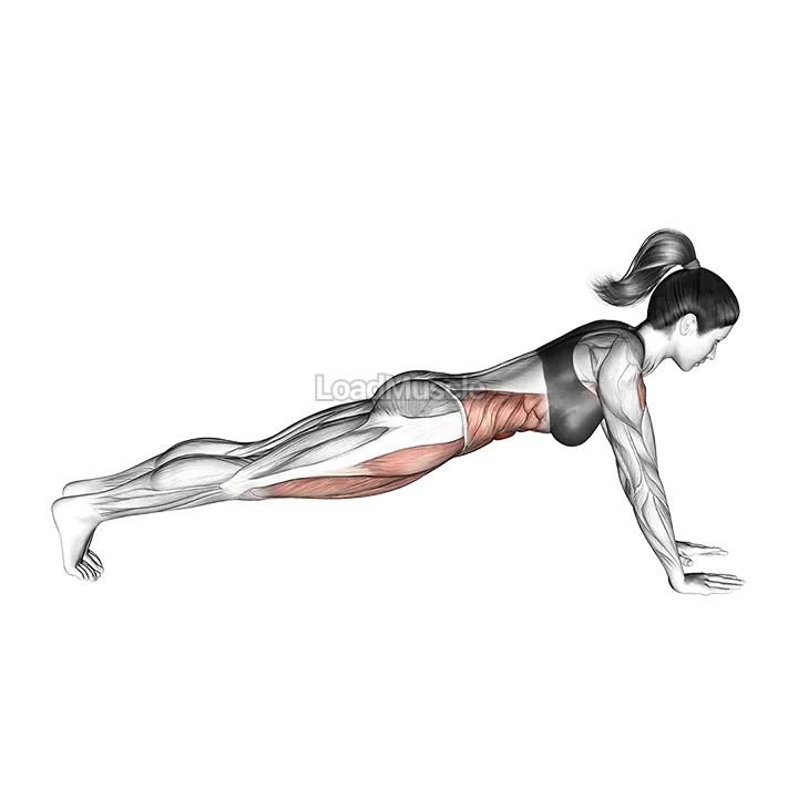 Bridge (straight arm) demonstration