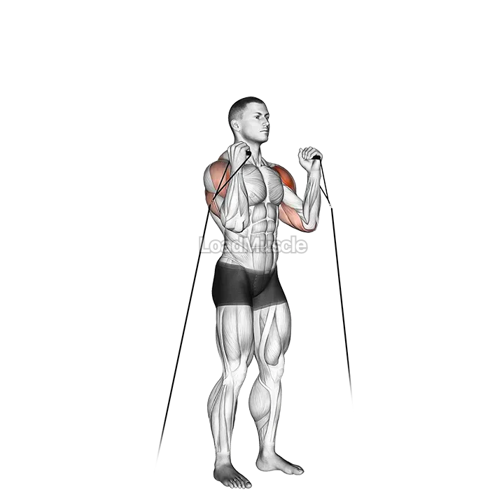 Cable Alternate Shoulder Press demonstration