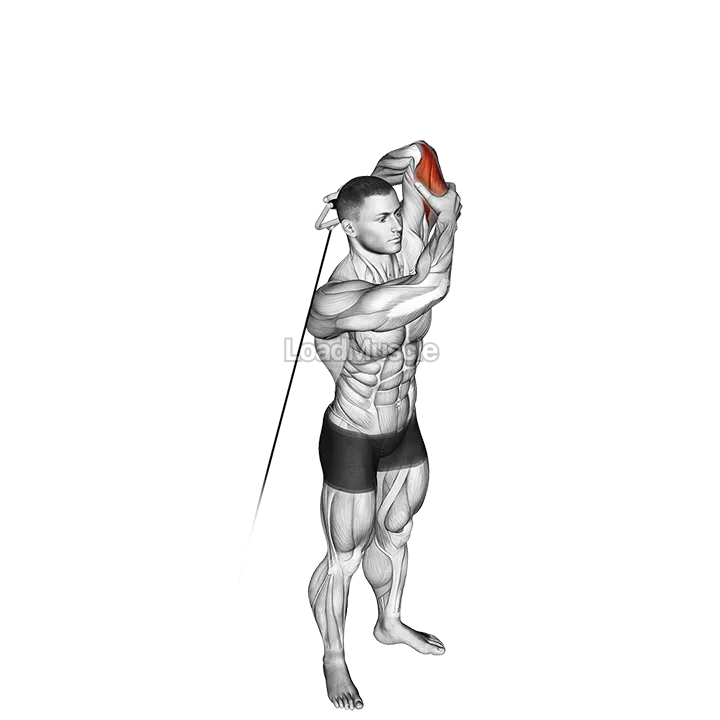 Cable Alternate Triceps Extension demonstration