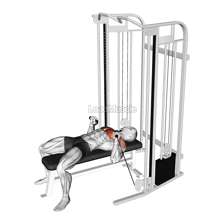 Cable Bench Press demonstration