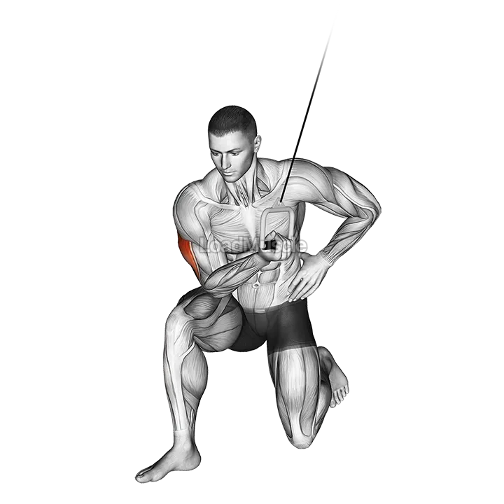 Cable Concentration Extension (on knee) demonstration