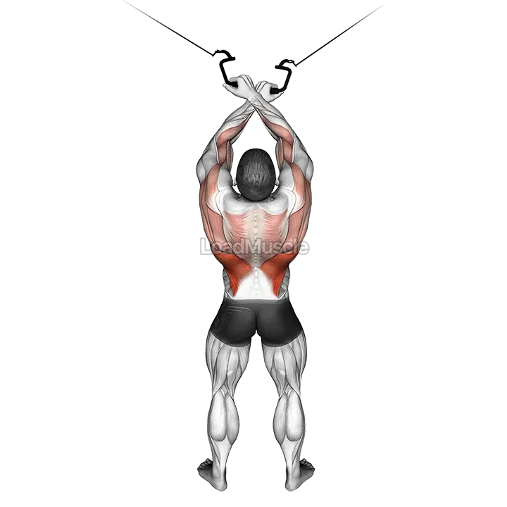 Cable Cross over Lateral Pulldown demonstration