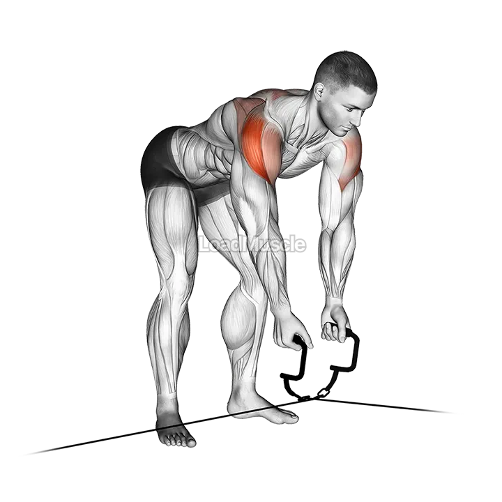 Cable Cross over Revers Fly demonstration