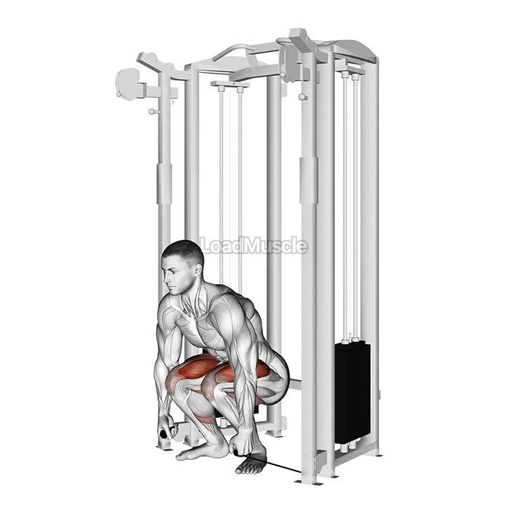 Cable Deadlift demonstration