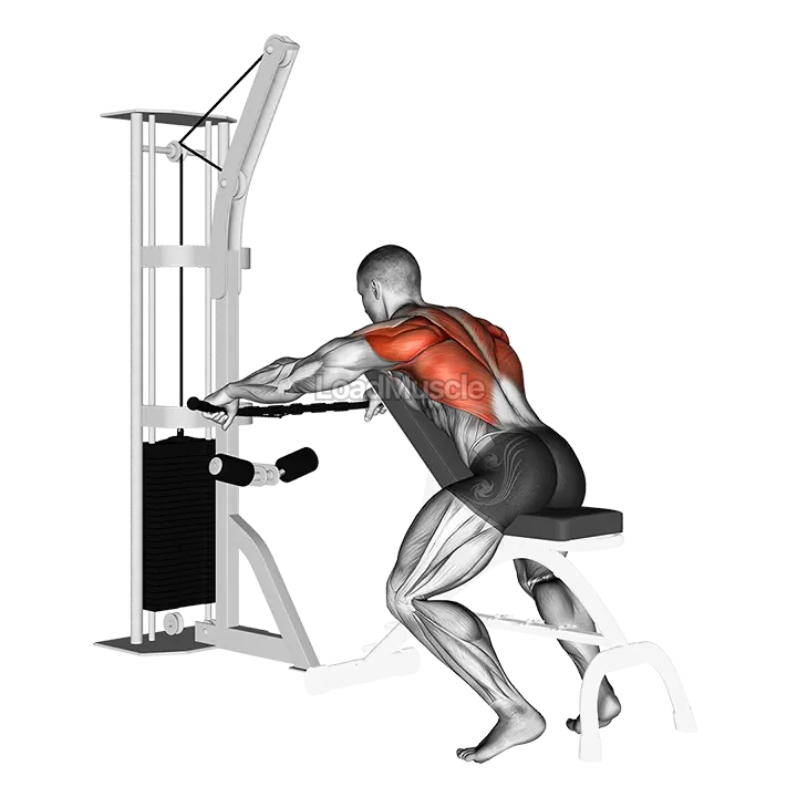Cable Decline Seated Wide Grip Row demonstration