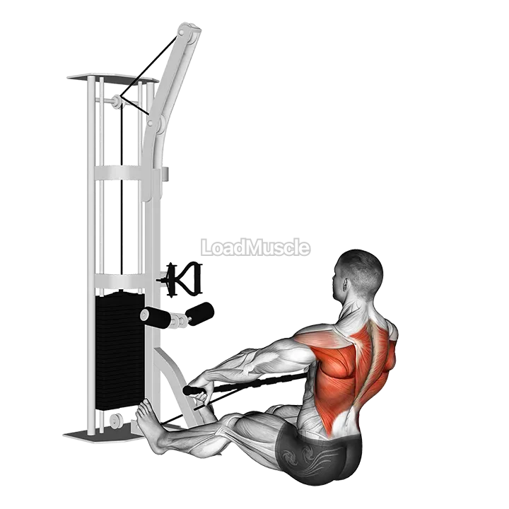 Cable Floor Seated Wide grip Row demonstration