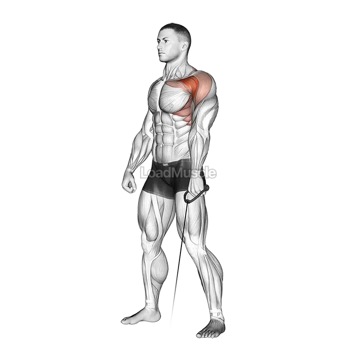 Cable Forward Raise demonstration