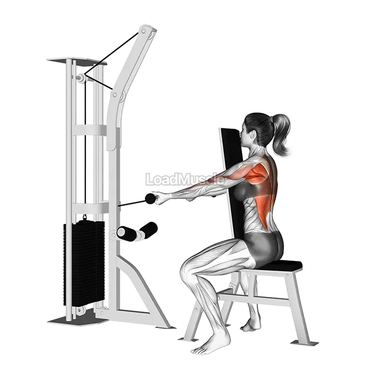 Cable Front Seated Row demonstration