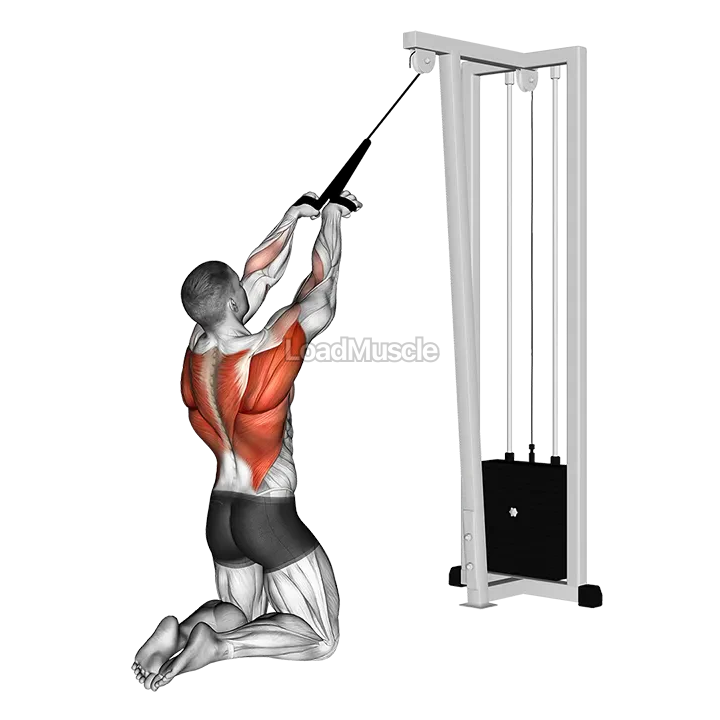Cable High Row (kneeling, rope attachment) demonstration