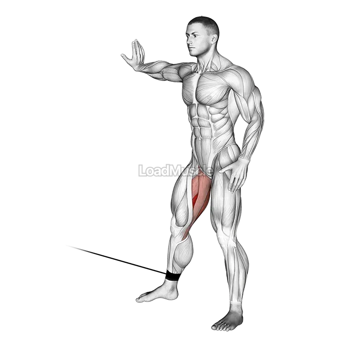 Cable Hip Adduction demonstration