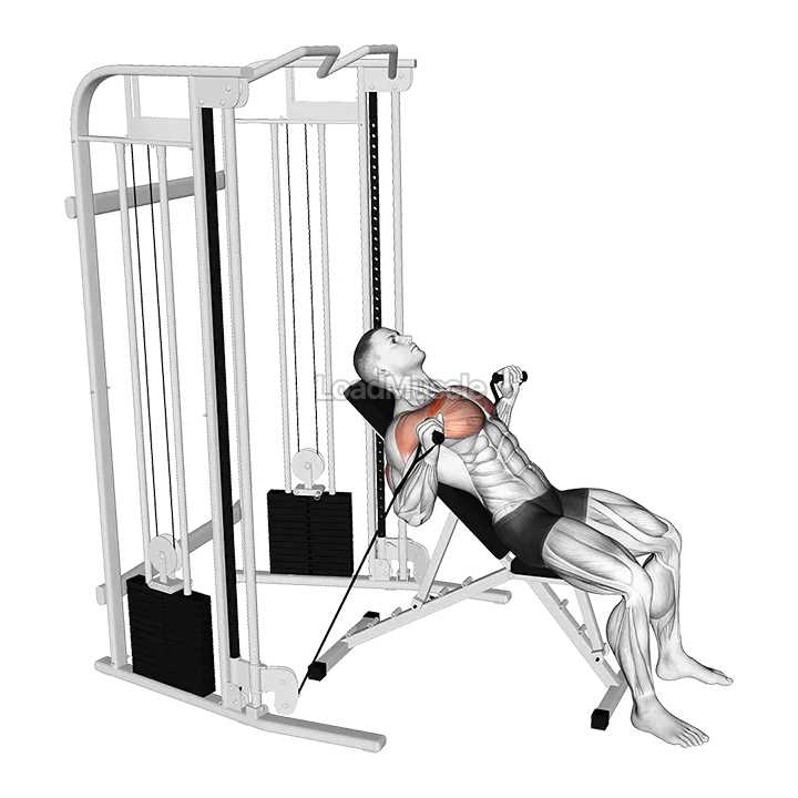 Cable Incline Bench Press demonstration