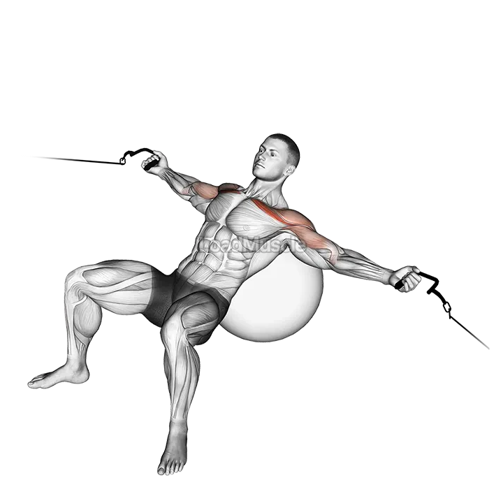 Cable Incline Fly (on stability ball) demonstration