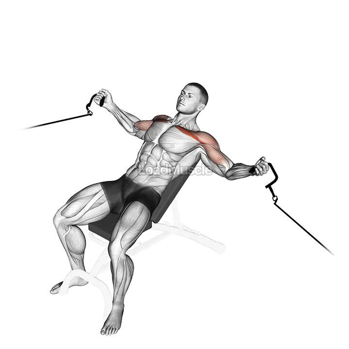 Cable Incline Fly demonstration