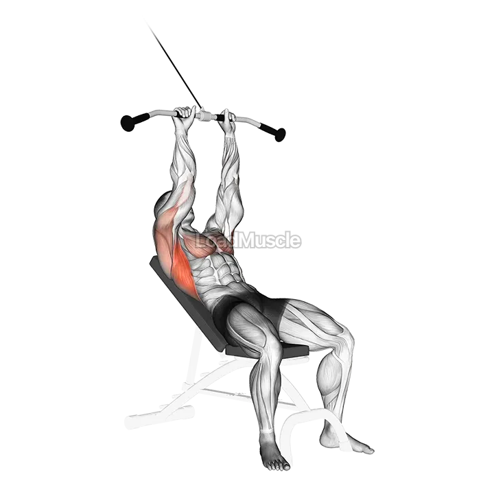 Cable Incline Pushdown demonstration