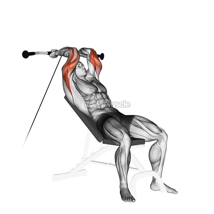 Cable Incline Triceps Extension demonstration