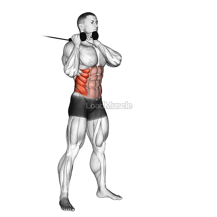 Cable Judo Flip demonstration