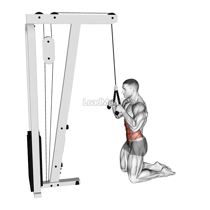 Cable Kneeling Crunch demonstration