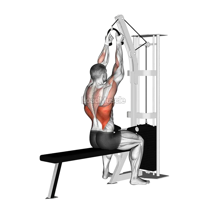 Cable Lateral Pulldown (with rope attachment) demonstration