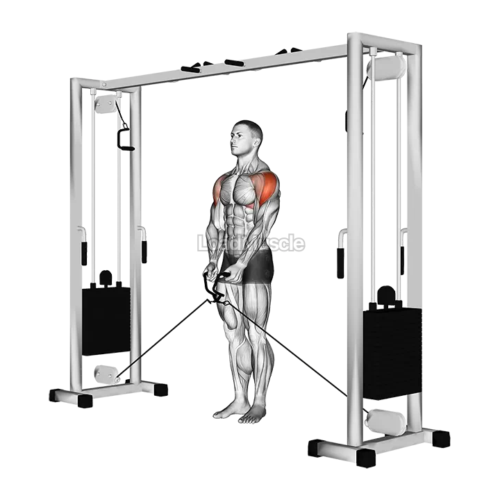 Cable Lateral Raise demonstration