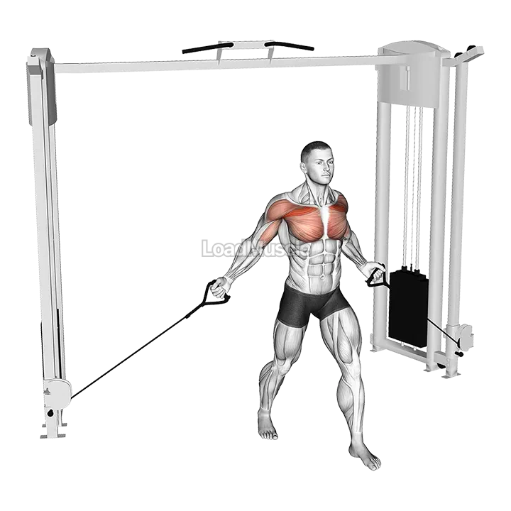 Cable Low Fly demonstration