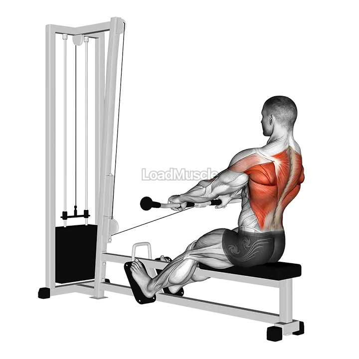 Cable Low Seated Row demonstration