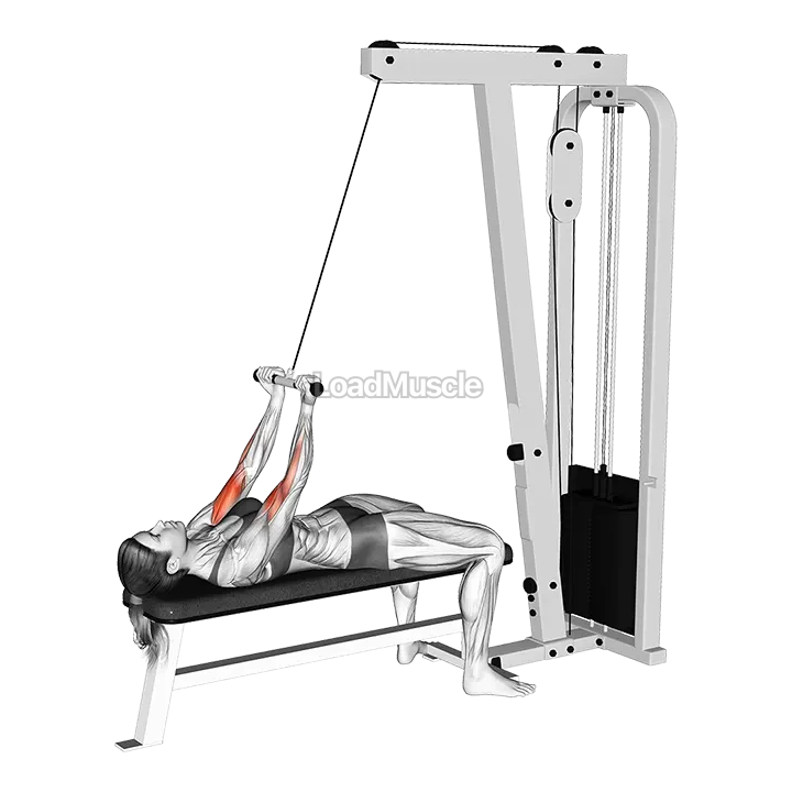 Cable Lying Close grip Curl demonstration