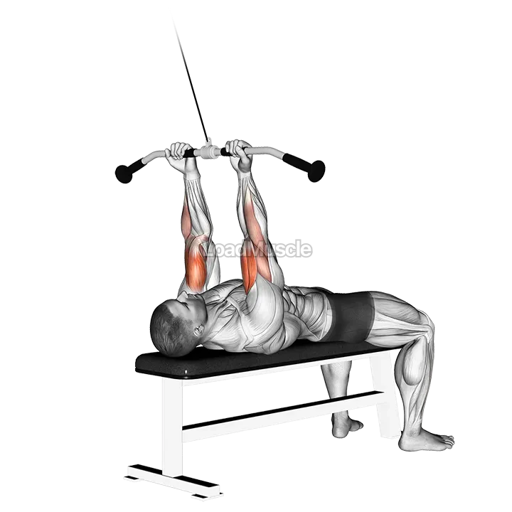 Cable Lying Close Grip Curl demonstration