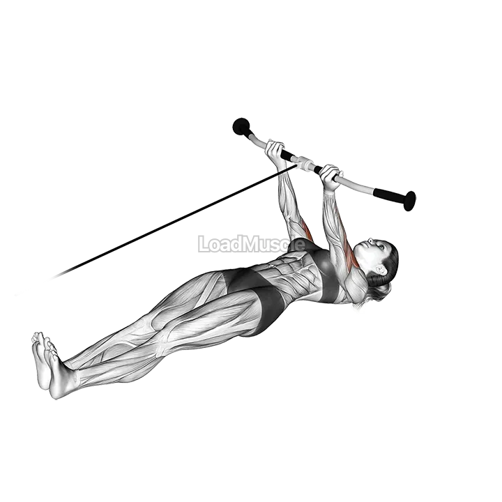 Cable Lying Curl demonstration