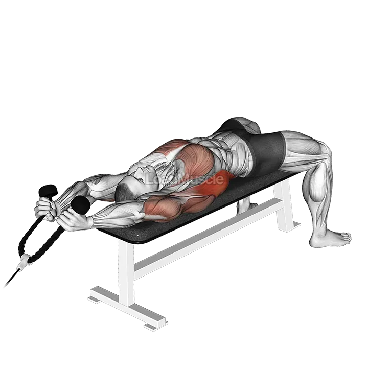 Cable Lying Extension Pullover (with rope attachment) demonstration