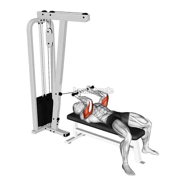 Cable Lying Triceps Extension demonstration