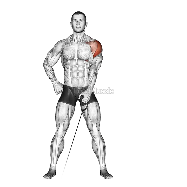 Cable One Arm Lateral Raise demonstration