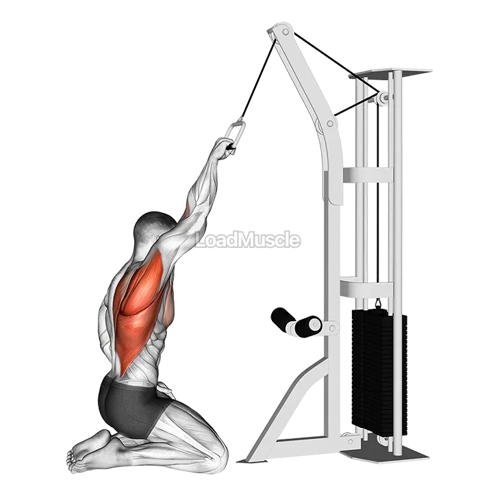 Cable One Arm Straight Back High Row (kneeling) demonstration