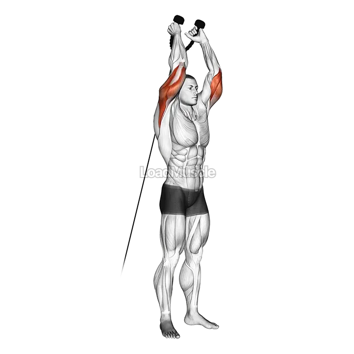 Cable Overhead Triceps Extension (rope attachment) demonstration