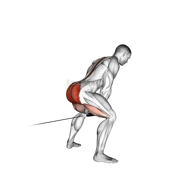 Cable Pull Through (with rope) demonstration