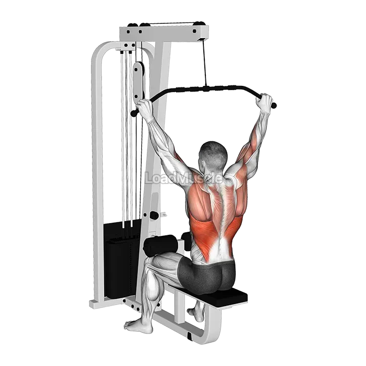 Cable Wide Pulldown demonstration