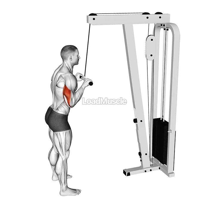 Cable Pushdown demonstration