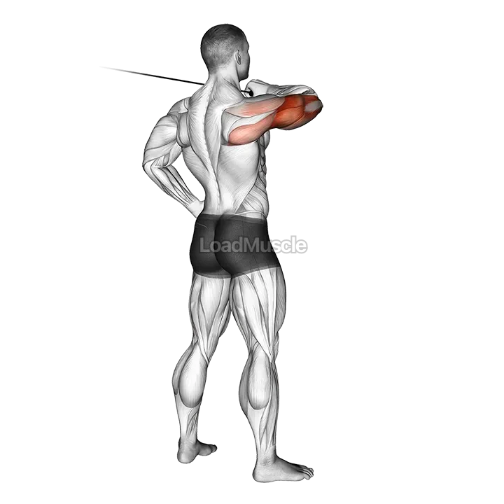 Cable Rear Drive demonstration