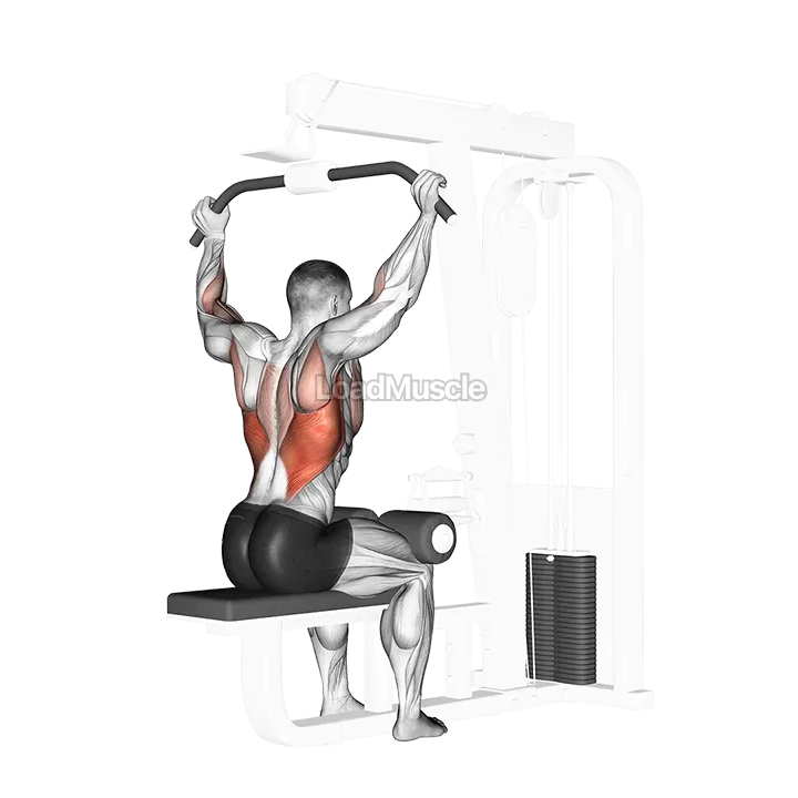 Cable Rear Pulldown demonstration