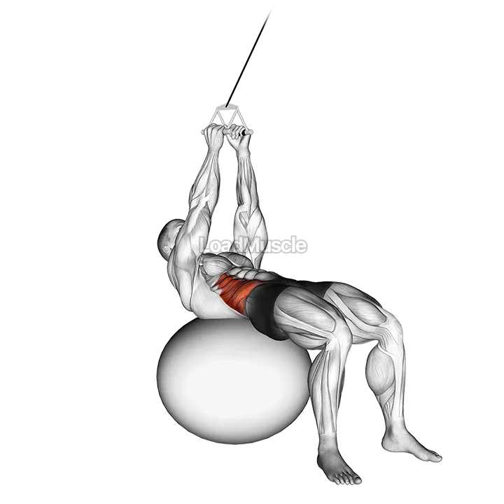 Cable Russian Twists (on stability ball) demonstration