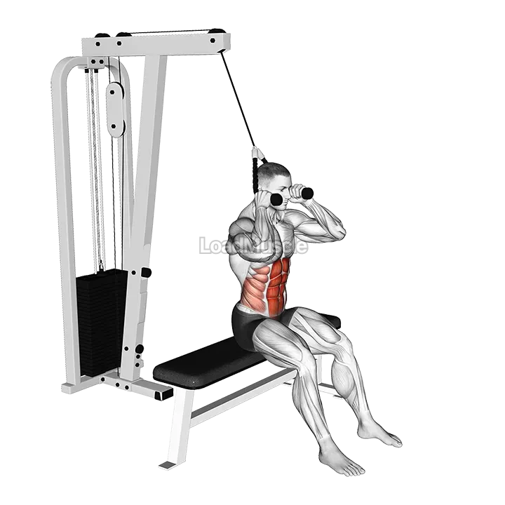 Cable Seated Crunch demonstration