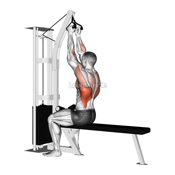 Cable Seated High Row (V bar) demonstration