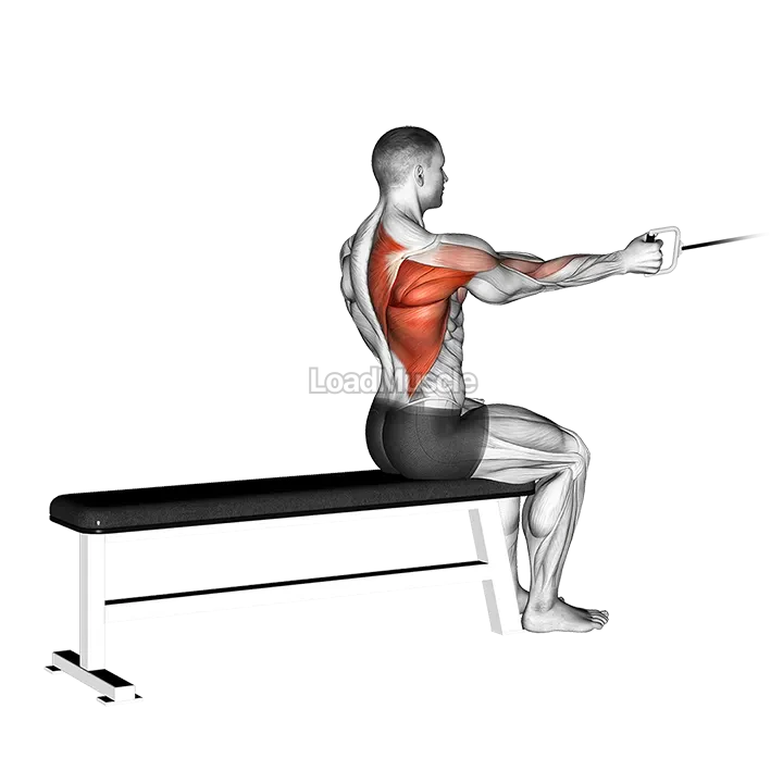 Cable Seated One Arm Alternate Row demonstration