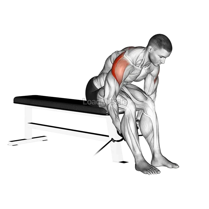Cable Seated Rear Lateral Raise demonstration