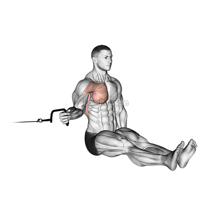 Cable Seated Shoulder Internal Rotation demonstration