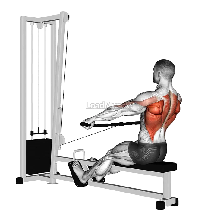 Cable Seated Wide grip Row demonstration