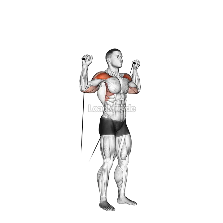 Cable Shoulder Press demonstration